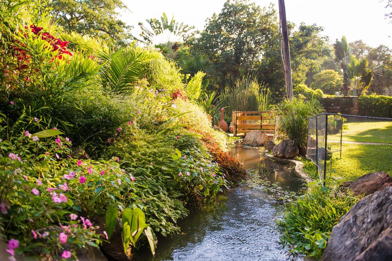 Fringilla Lodge Chisamba Buitenkant foto