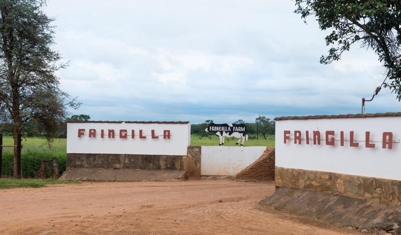 Fringilla Lodge Chisamba Buitenkant foto