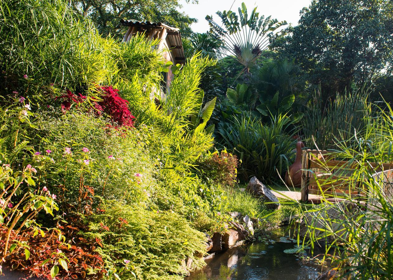 Fringilla Lodge Chisamba Buitenkant foto