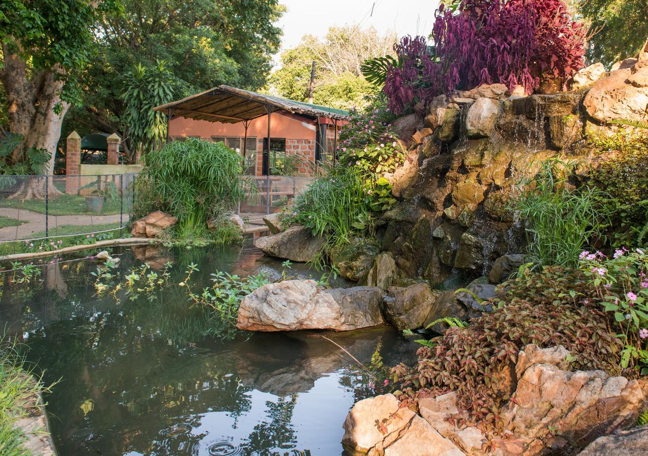 Fringilla Lodge Chisamba Buitenkant foto