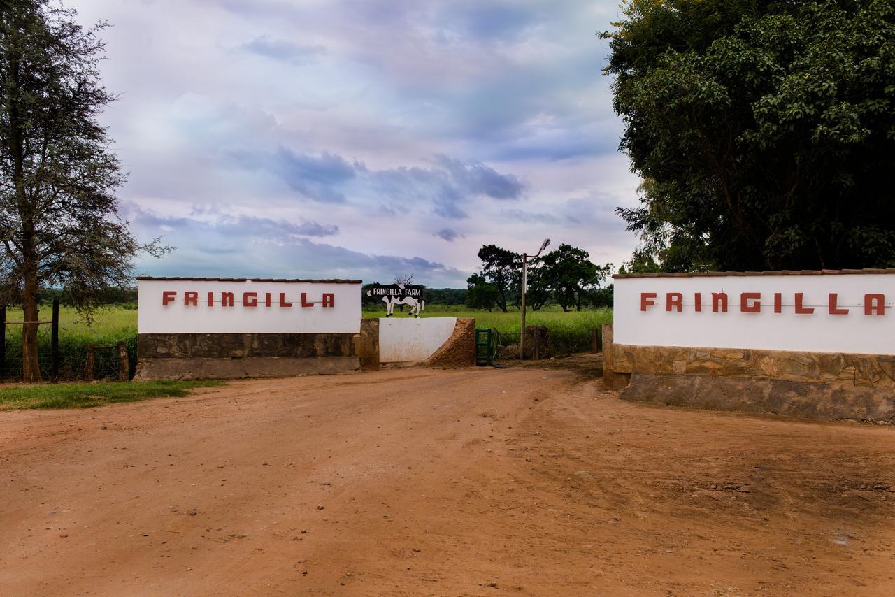 Fringilla Lodge Chisamba Buitenkant foto